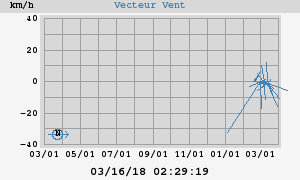 Wind Vector